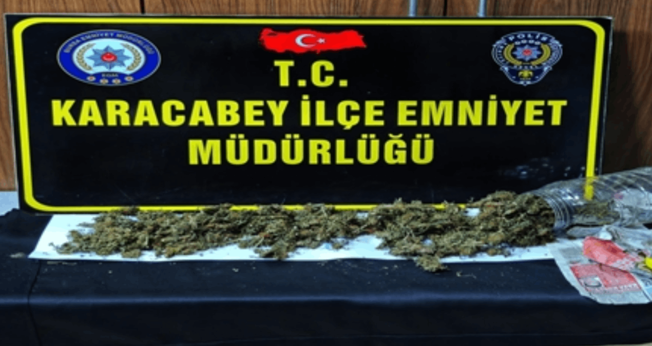Kuş kümesinden Hint keneviri çıktı