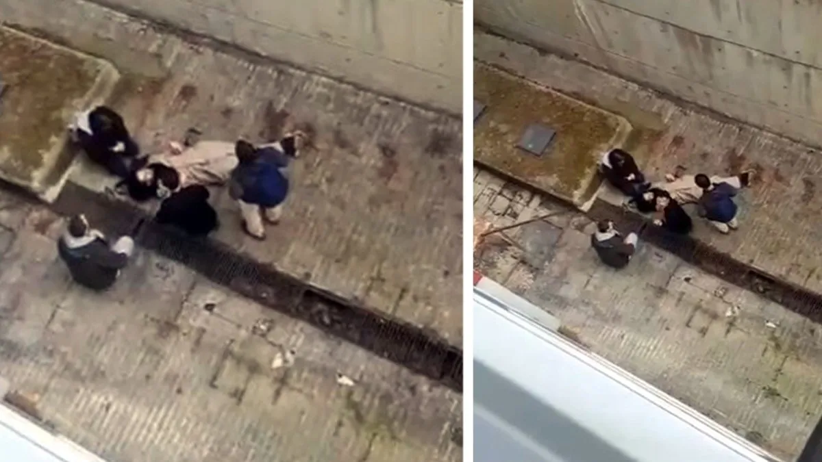 Cerrahpaşa Kampüsü’nde köpek dehşeti: Üniversite öğrencisi 4 metre yükseklikten düştü!